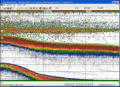 Fig. 20a: High noise echogram.
