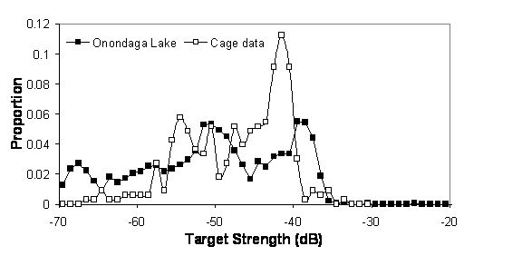 Fig. 32: Alewife target strength distribution.