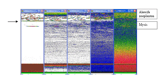 Fig. 5: Frequency-dependent scattering.